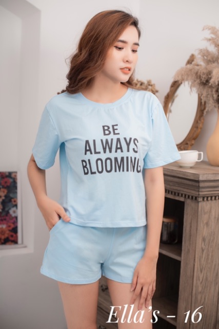 [Khuyến Mãi Sốc] Đồ Mặc Nhà - Cotton 100%- Mua 2 Tặng 1 | BigBuy360 - bigbuy360.vn