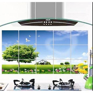 Decal Dán Tường Nhà Bếp Chống Bám Dầu Chống Thấm Nước (SP000851) | BigBuy360 - bigbuy360.vn