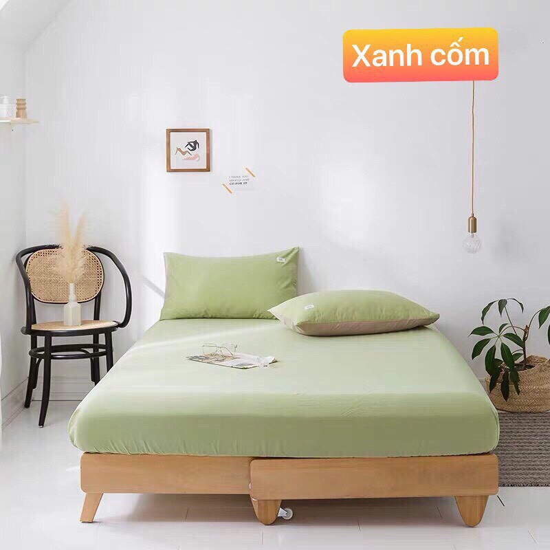 Ga trải giường (không kèm gối) Cotton Tici Minh Nhật cao cấp - Bo chun drap (ga giường) đủ kích thước