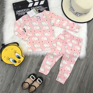 Combo 8 bộ khách đặt bộ bozip hình cho con