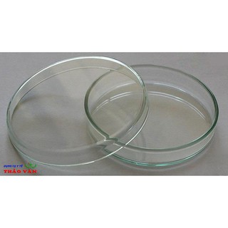 Hộp lồng Petri - Đĩa Petri (có nắp)