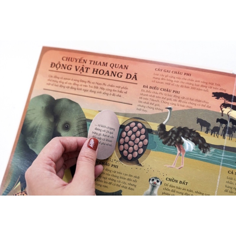 sách-atlas động vật hoang dã