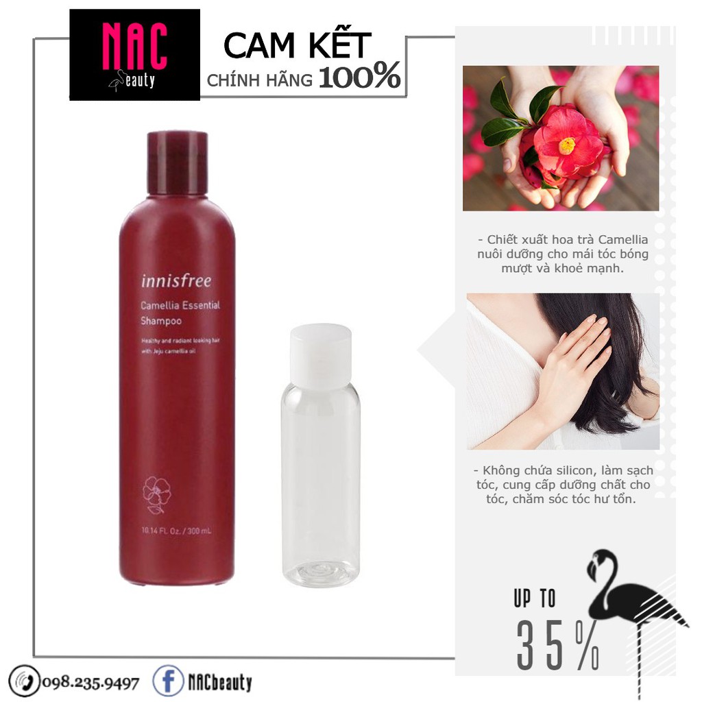 [Chính hãng] Dầu gội dưỡng tóc hương hoa trà innisfree Camellia Essential Shampoo 300ml