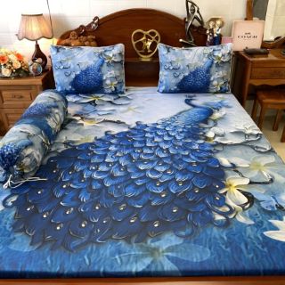 Bộ ga gối drap thun 5d mát lạnh