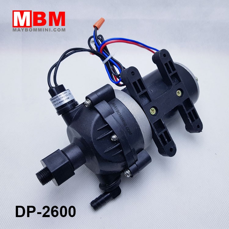 _Máy bơm áp lực mini 12V 120W 8L DP-2600