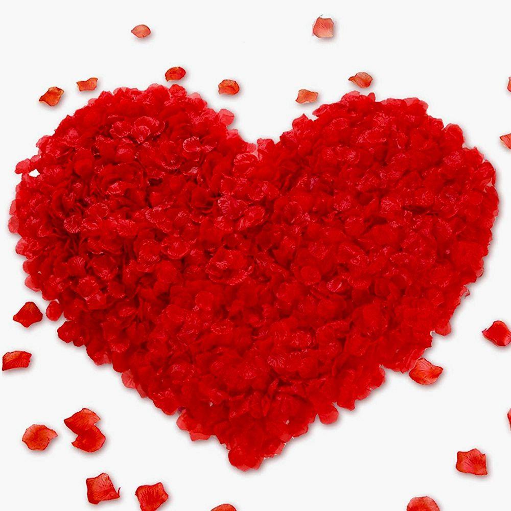 JARRED Set 100 Cánh Hoa Giả Nhiều Màu Sắc Trang Trí Tiệc Cưới / Sinh Nhật