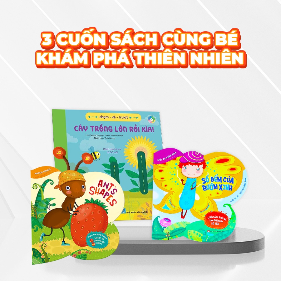 Đồ Chơi Cho Bé Hộp Háo Hức KHÁM PHÁ THIÊN NHIÊN 0-3 tuổi: Combo 3 Sách Ehon và Trò Chơi Tự Làm Chuông Gió Cầu Vồng