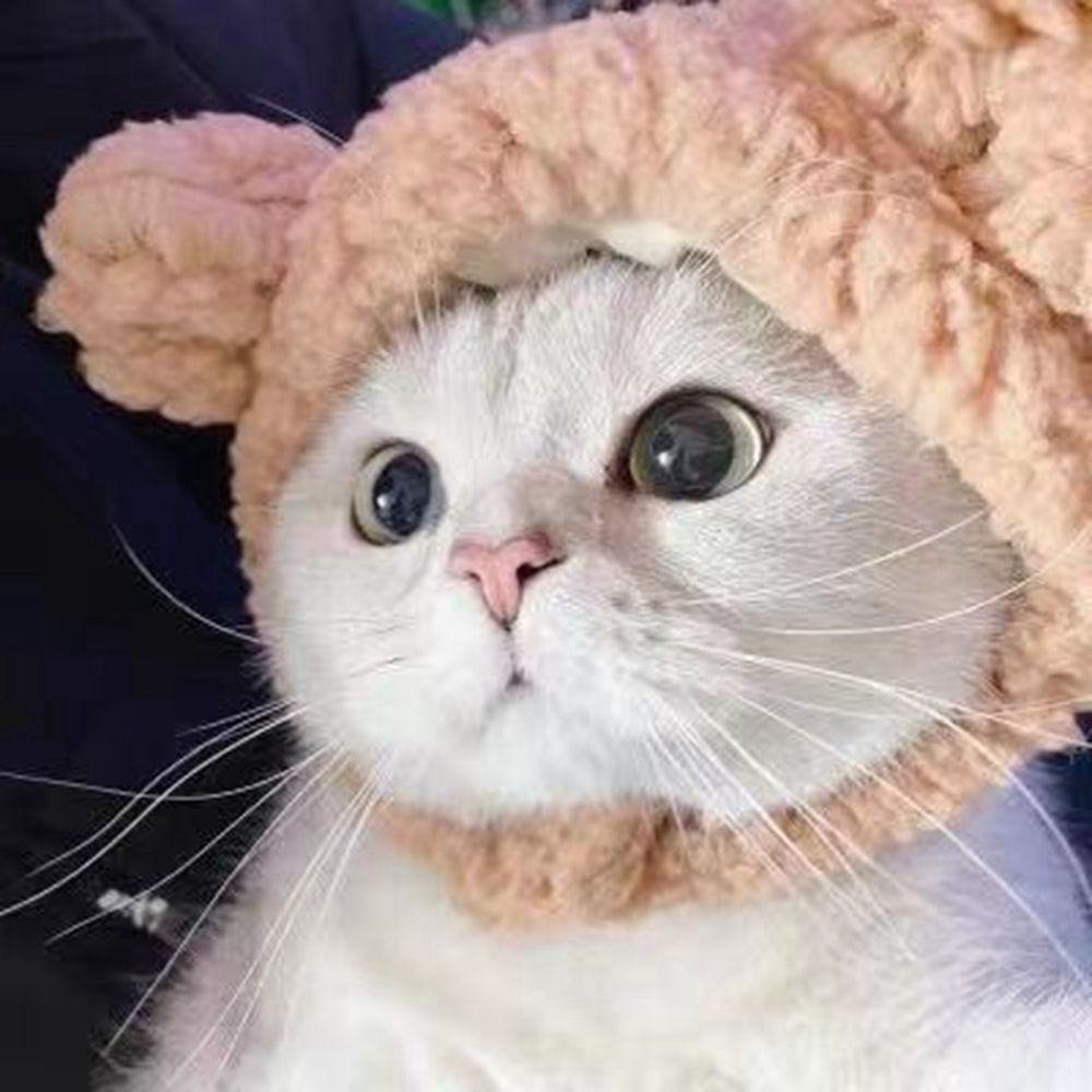 Nón Đội Tai Gấu Dễ Thương Cho Thú Cưng