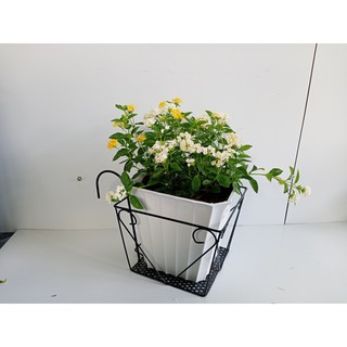 Móc sắt vuông treo chậu ban công 22cm