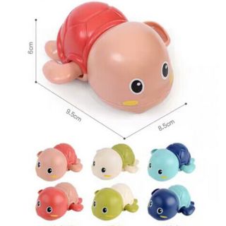 Rùa chạy cót biết bơi