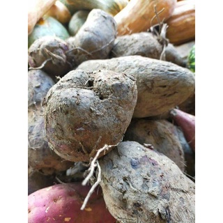 3kg Khoai mỡ tím