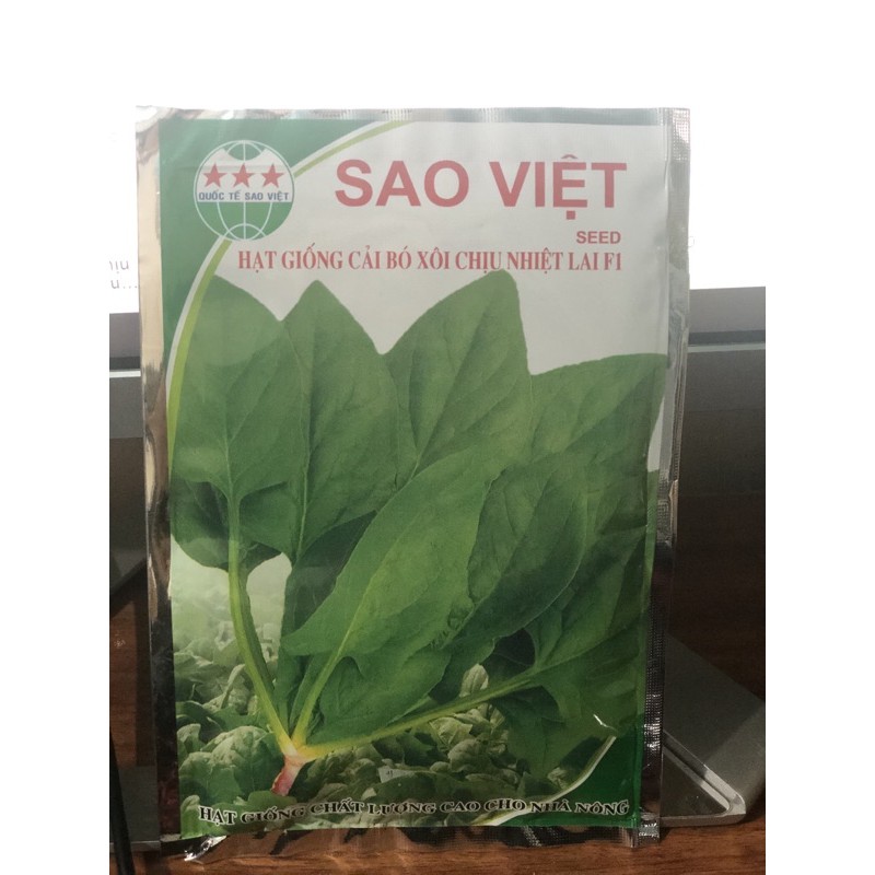 hạt giống cây rau cải bó xôi chịu nhiệt lai (rau bina, rau chân vịt) - 20Gr