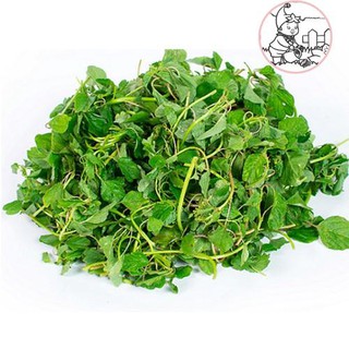 HẠT RAU DỀN VÀNG, DỀN CƠM - GÓI 10 GRAM