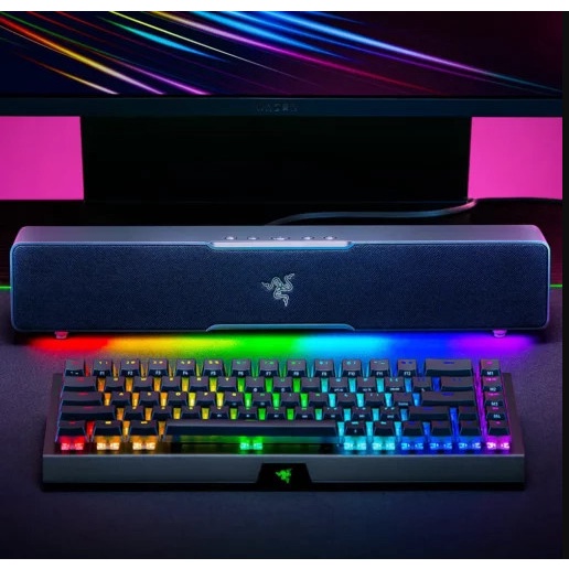 Loa Razer Leviathan V2 X RGB Bluetooth 5.0 RZ05-04280100-R3M1 - Hàng Chính Hãng