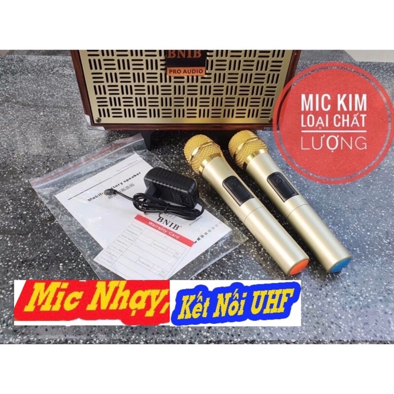 Loa kéo hát karaoke BNIB M9 bass 20 bluetooth Loa kẹo kéo di động thùng gô_Tặng  kèm hai mic không dây