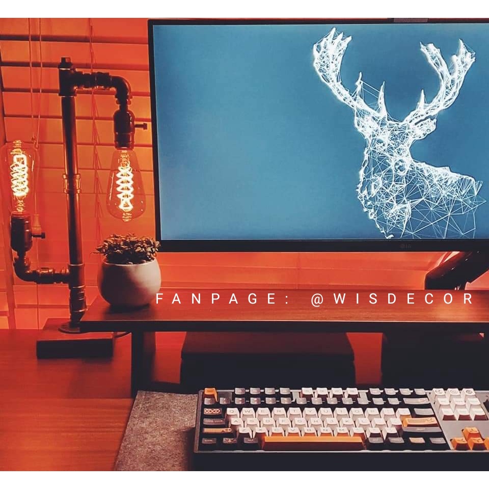 Đèn Decor - Đèn Ống Nước Trang Trí Bóng Sợi Đốt Edison - The Cactus Lamp