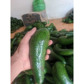 Bơ 034 Lâm Đồng loại 2-3