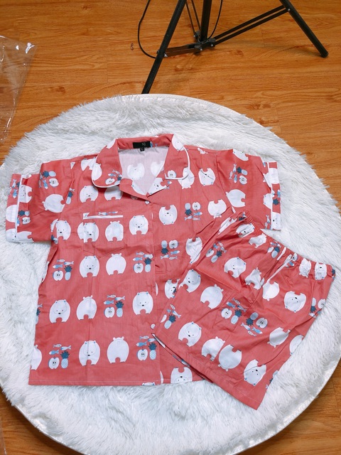 Đồ ngủ Pijama siêu kute ( Nam - Nữ )