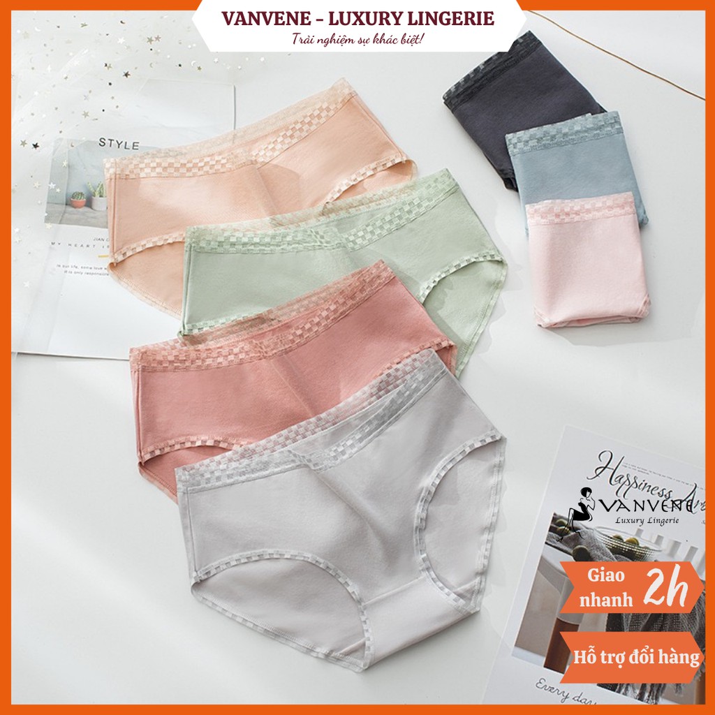 QUẦN LÓT NỮ COTTON 7 MÀU VIỀN REN Ô VANVENE LÓT MAY CHẮC CHẮN CHỐNG HẰN VIỀN QUẦN CHIP CẠP VỪA MỚI Q233