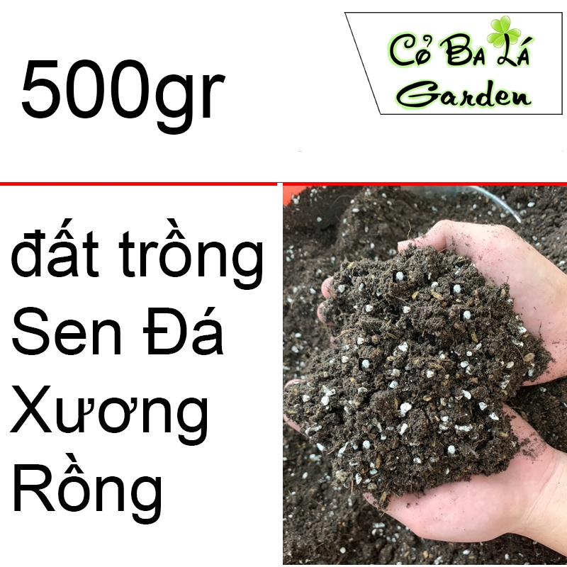 đất trồng sen đá,xương rồng gói 500gr