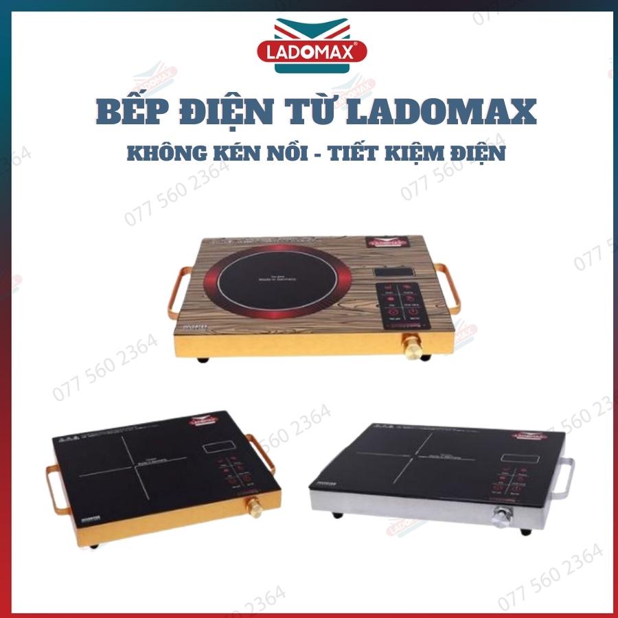 Bếp Hồng Ngoại LADOMAX 2200W Mặt Bếp Cường Lực Điều Khiển Cảm Ứng HA-666 Đa dạng màu HA-669 2 vòng nhiệt