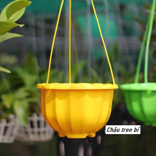 Chậu treo ban công, giỏ treo lan, trồng cây, hoa ban công hình quả bí ngô kích thước 20*17cm bền đẹp hàng công ty loại 1