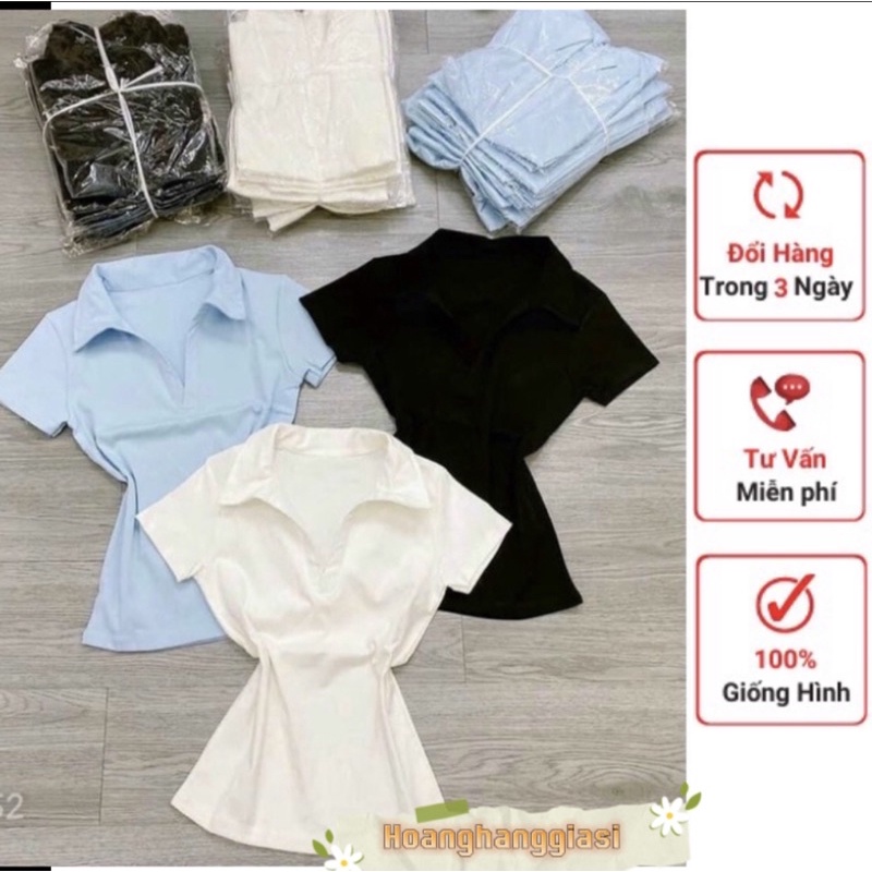 Áo cổ bẻ 💥 Áo cổ trụ chất vải borip