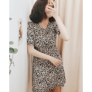ĐẦM HOA CÚC ĐEN