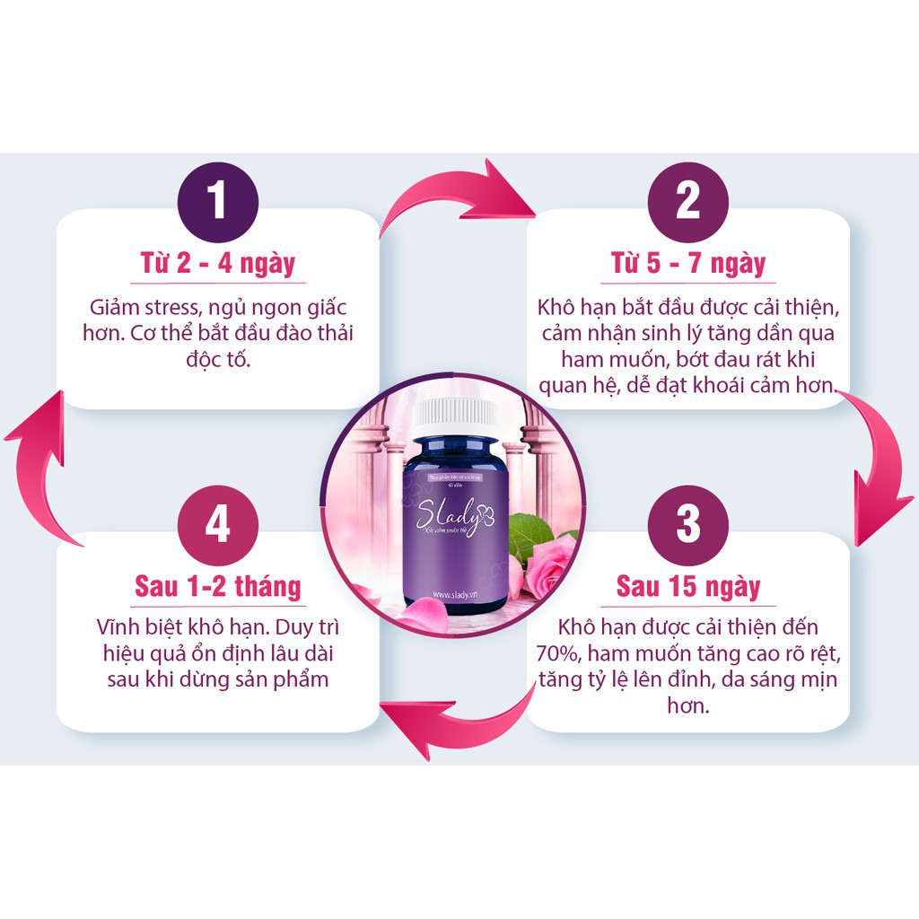 Viên Uống Nội Tiết Tố SLADY - Hộp 60 Viên - Giúp Phụ Nữ Bồi Bổ Khí Huyết, Điều Hòa Kinh Nguyệt, Bổ Sung Nội Tiết Tố