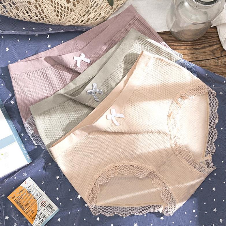 [Giá sỉ] Quần Lót Nữ Cotton Co Giãn 4 Chiều Tông Màu Pastel Siêu Đẹp