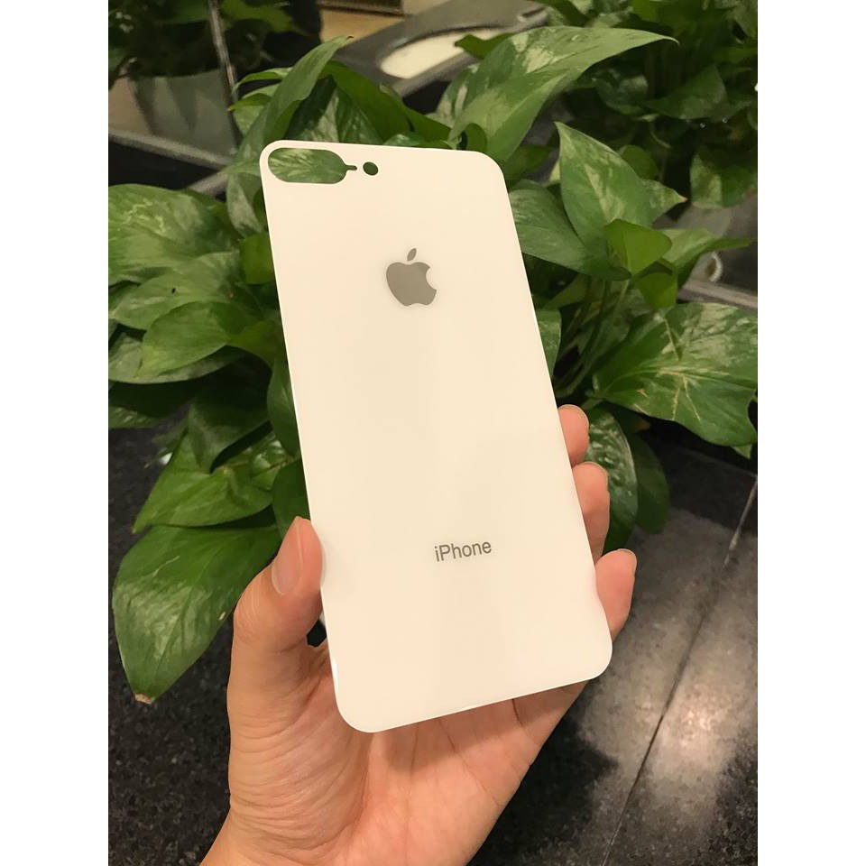 Cường Lực mặt lưng giả iPhone 8 cho iPhone 6/6plus/7/7plus/8/8plus