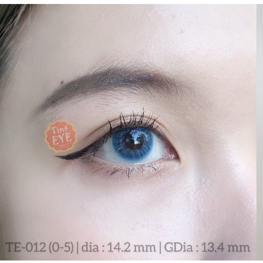 [Tặng Combo 175k] Kính Áp Tròng Tinteye Lens TE-012