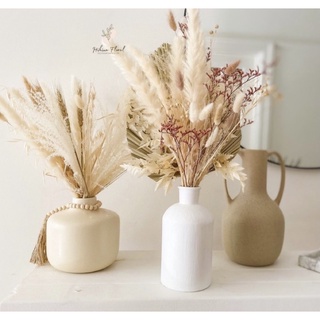 cành cỏ lau Pampass Grass❤️ Hoa khô trang trí để bàn, phụ kiện chụp ảnh đẹp, decor