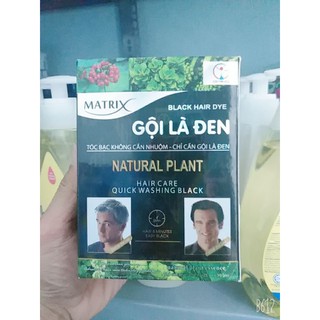 Dầu gội nhuộm tóc Gội Là đen Matrix 1 hộp 10 gói