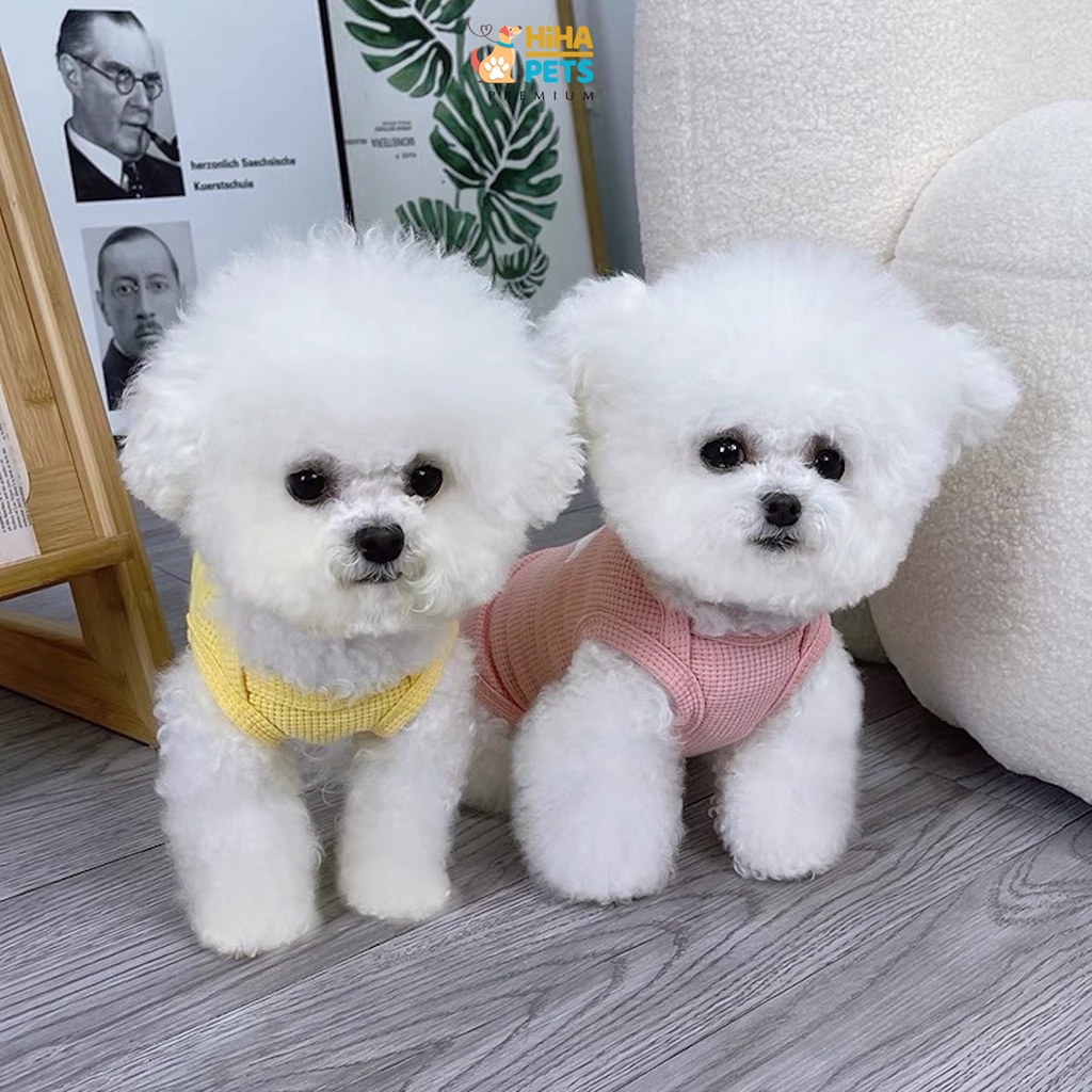 Áo Thun Cho Cún Mèo Mát Mẻ Dễ Thương Thun Cotton 100% Quần Áo Thú Cưng Cao Cấp Nhất Của Hiha Pets Việt Nam.