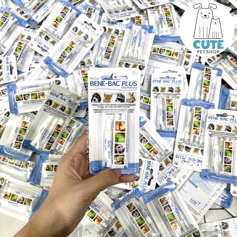 Men tiêu hoá Bene-Bac hộp 4 Ống cho cún mèo