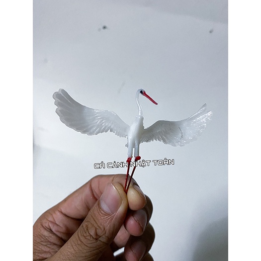 CÒ LẺ TRUNG 1 CON TRANG TRÍ BỂ CÁ NON BỘ TIỂU CẢNH (CON BAY, CON ĐẬU)