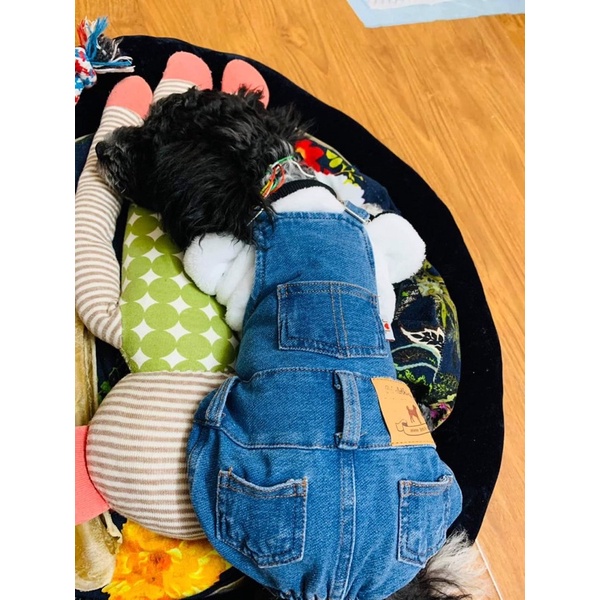 [Có sẵn] Yếm bò, yếm jeans cho thú cưng