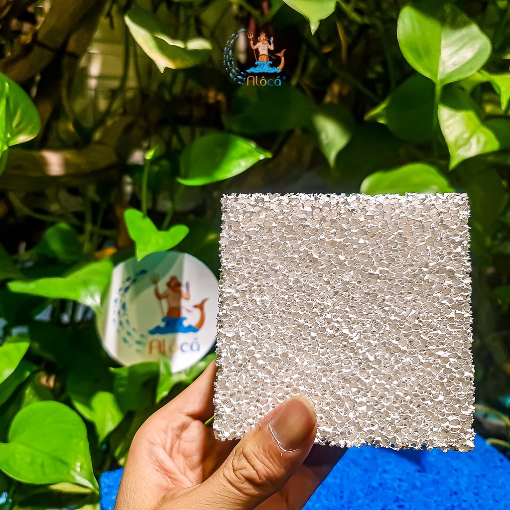 Sứ tàu hũ Ceramic chính hãng loại 1, viên vuông 10x10x5cm lọc nước, loại bỏ amoniac, nitrat bể cá cảnh