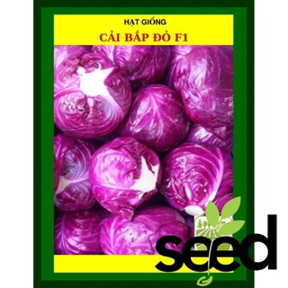 1G - Hạt Giống Cải Bắp Đỏ