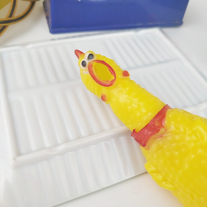 Đồ chơi con gà la hét 🐥 FREESHIP 🚛 Có video thật 🎥 Đồ chơi con gà la hét vui nhộn cao 15cm - Phát Huy Hoàng