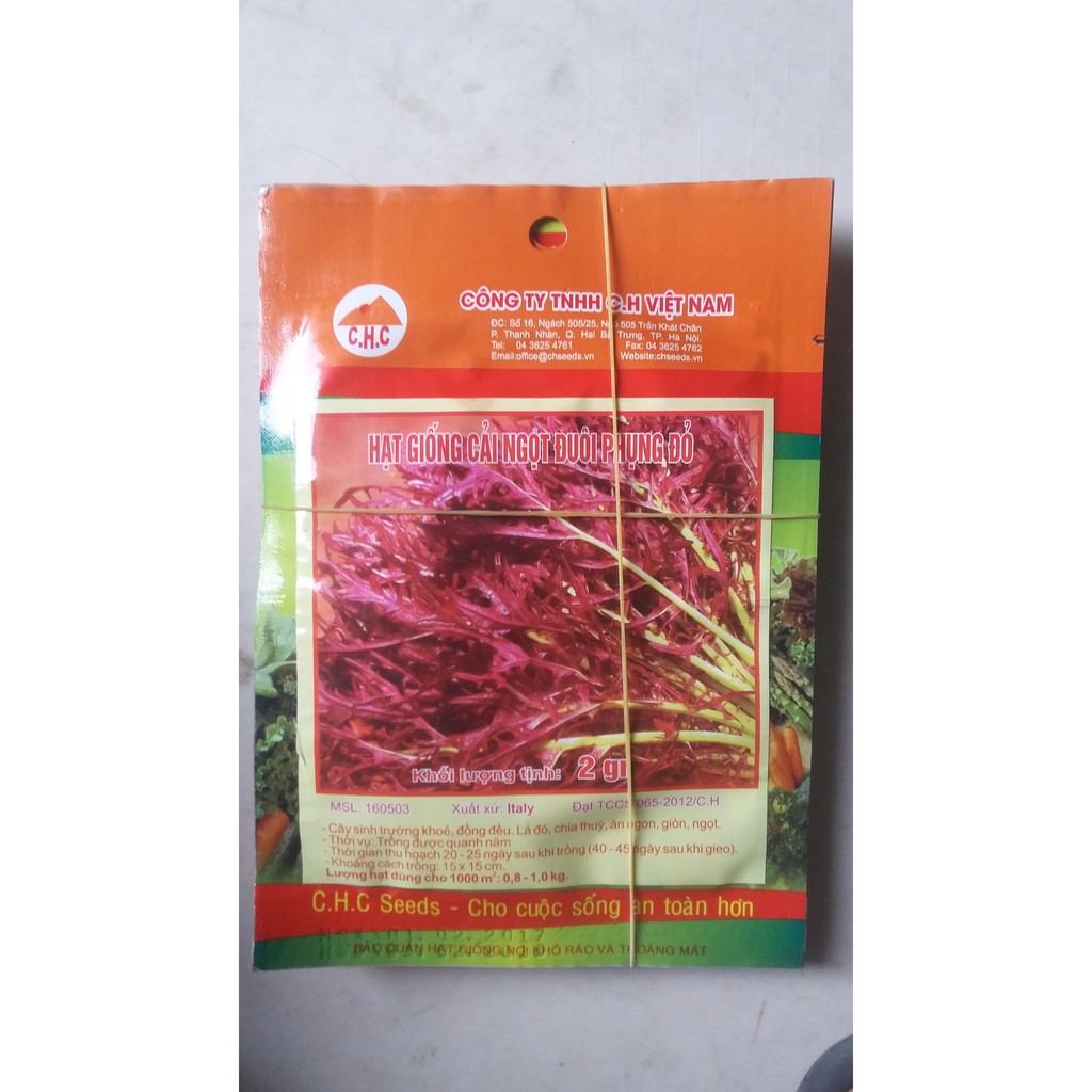 Hạt giống cải ngọt đuôi phụng đỏ