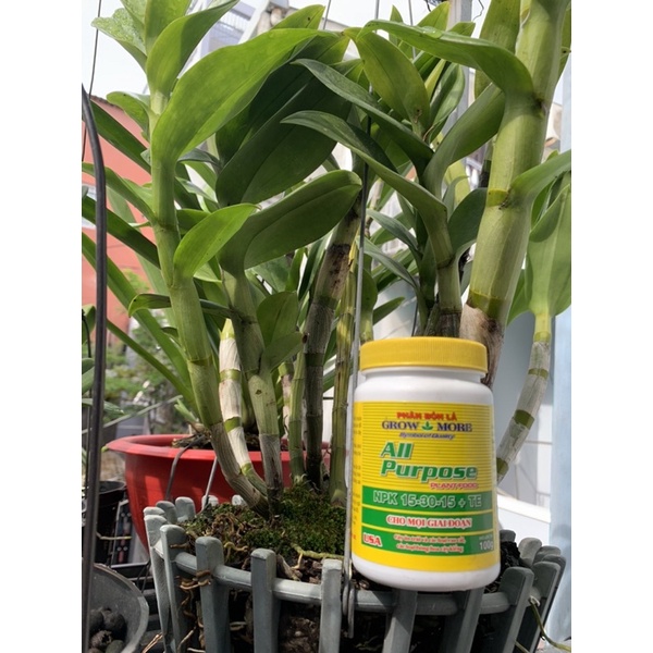 PHÂN BÓN LÁ NPK GROWMORE 15-30-15 + TE