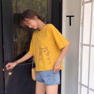 Áo thun mèo mặt ngu combo