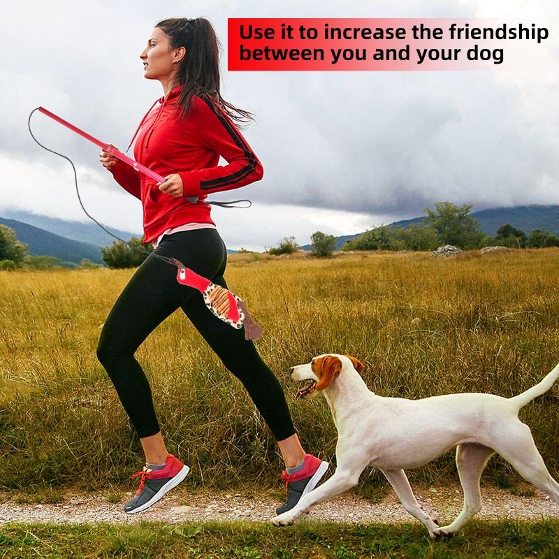 Gậy Đồ Chơi Tương Tác Thú Cưng Vui Nhộn