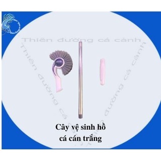 Cây chà hồ vệ sinh hồ cá cán trắng dài 60cm ,cây cọ rửa vệ sinh hồ cá , dụng cụ vệ sinh hồ cá
