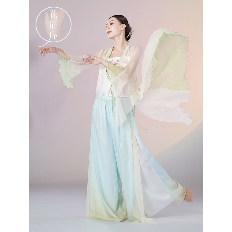 Bộ Trang Phục Biểu Diễn Múa Tay Dài Phối Lưới Phong Cách Trung Hoa Cổ Điển