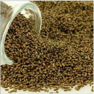 Sỉ toàn quốc giá rẻ hạt muồng 500g - 1kg