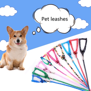 dog leash and chest harness Dây Dắt Thú Cưng Đi Dạo