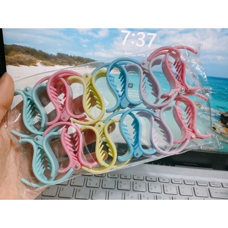 Set 12cái càng cua nhám màu siêu đẹp